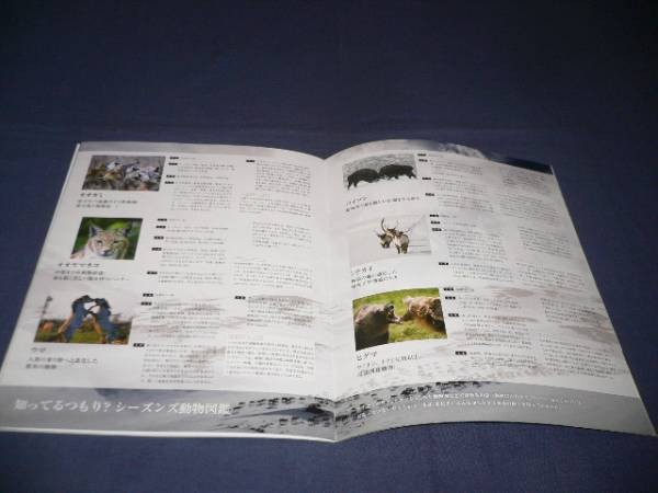 press Seasons 20000 Years Earth Journey