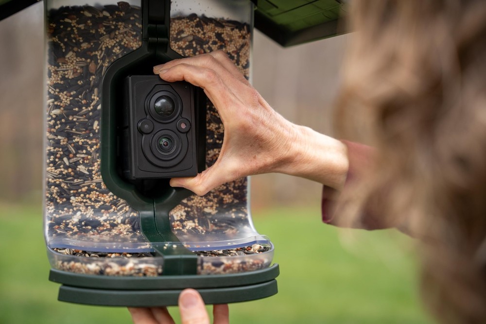 FeatherSnap Scout Wi-Fi Solar Powered Smart Bird Feeder - Automatically...