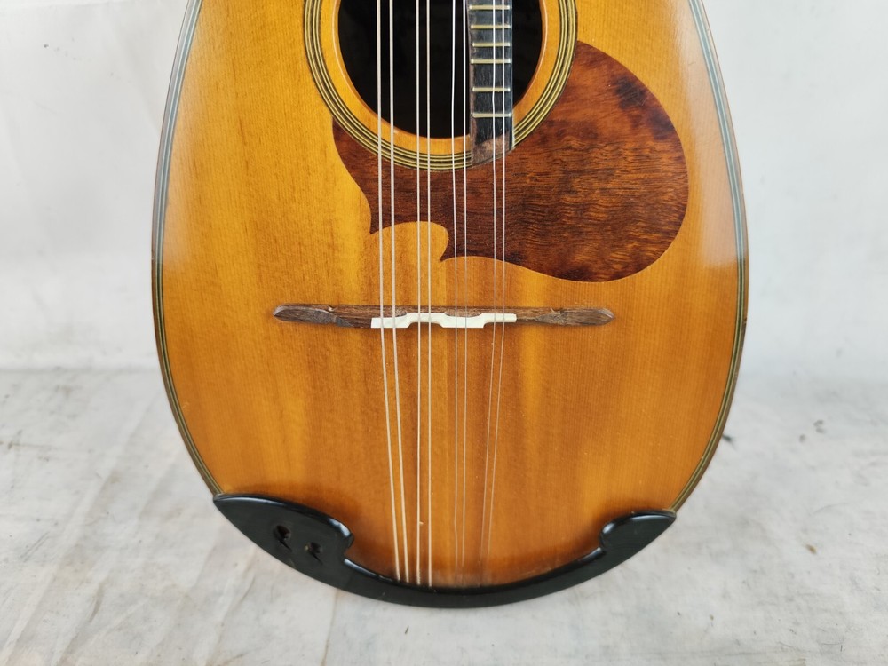 Mandolin 4/4 Raffaele Calace E Figlio 1954 Naples 曼陀林 만돌린マンドリン