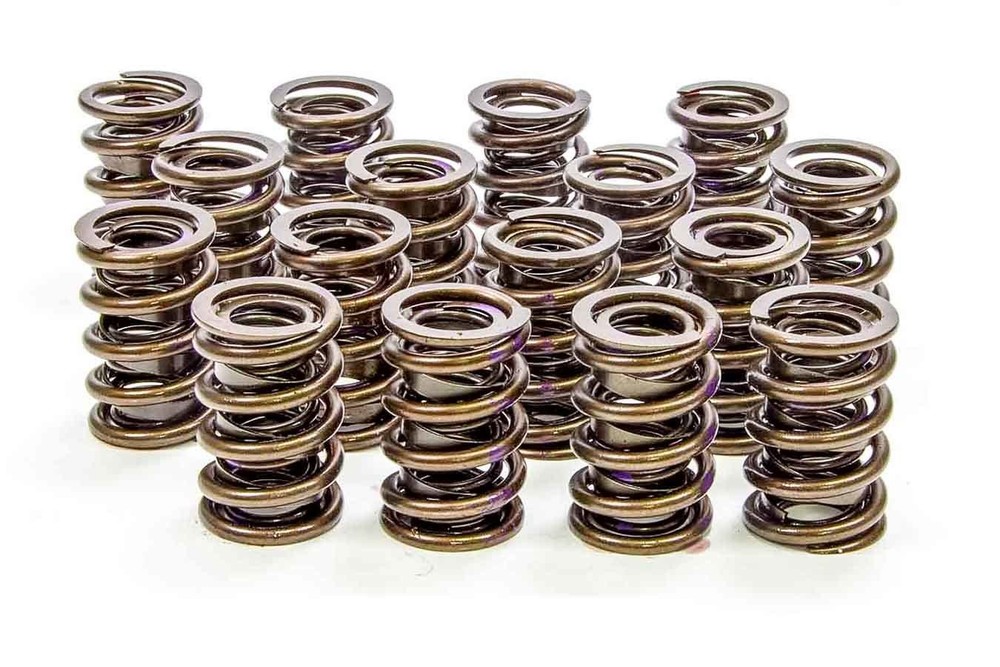 Isky 1.430in Valve Springs