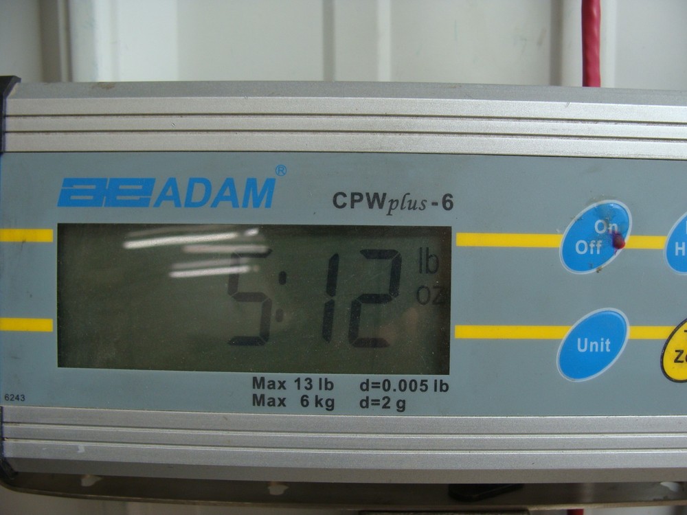 Advantech PPC-3120S-RAE 12.1in Panel PC Windows 10 Pro