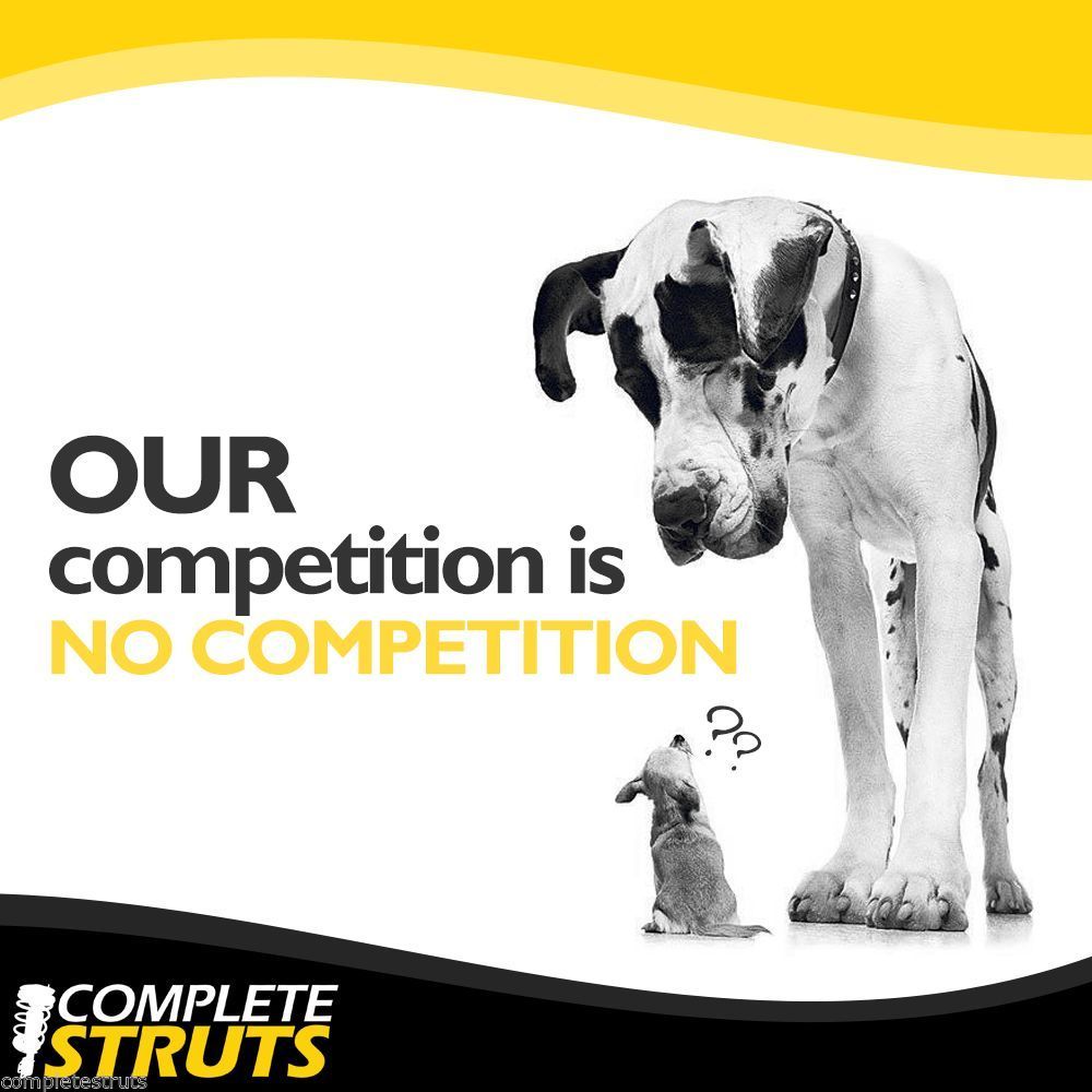 2007-2009 Chevrolet Equinox Front Pair Complete Struts & Coil Spring Assemblies