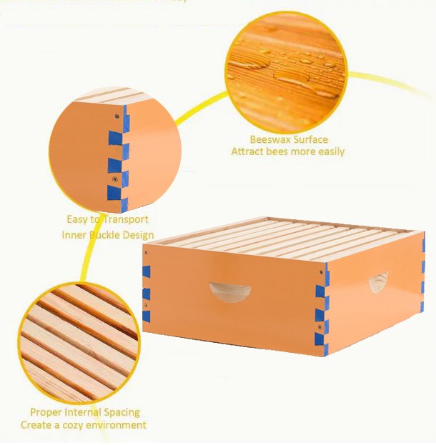 1 Layer Beehive Super Box Wax Langstroth Deep House + 10 Frames Beekeeping