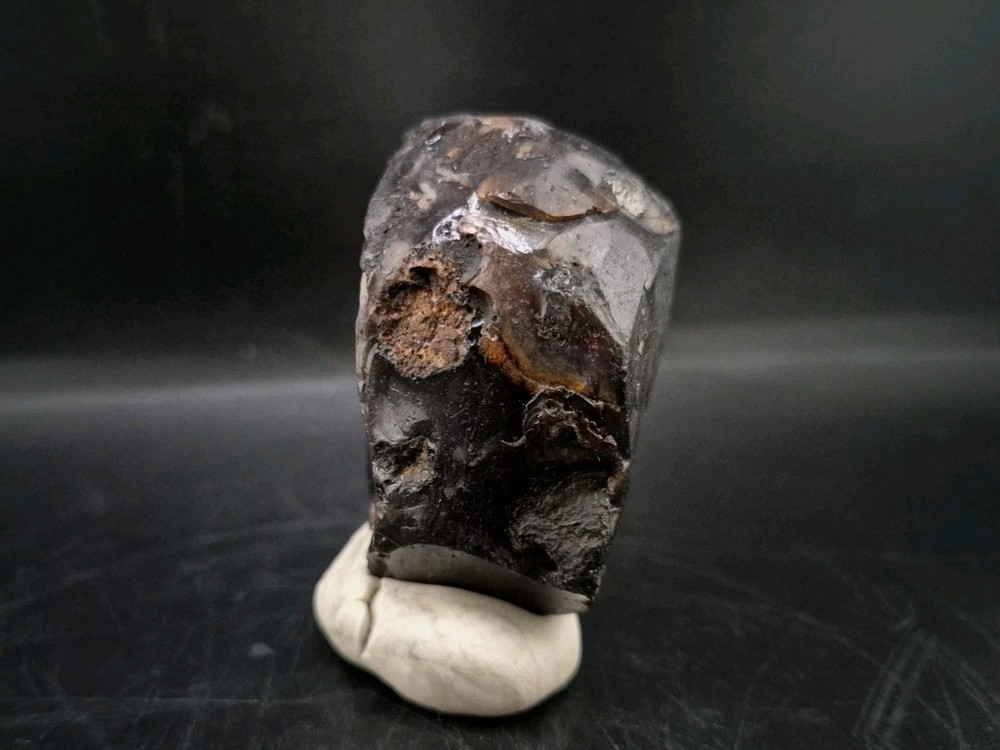 Real Fossil Dinosaur Egg Opalized