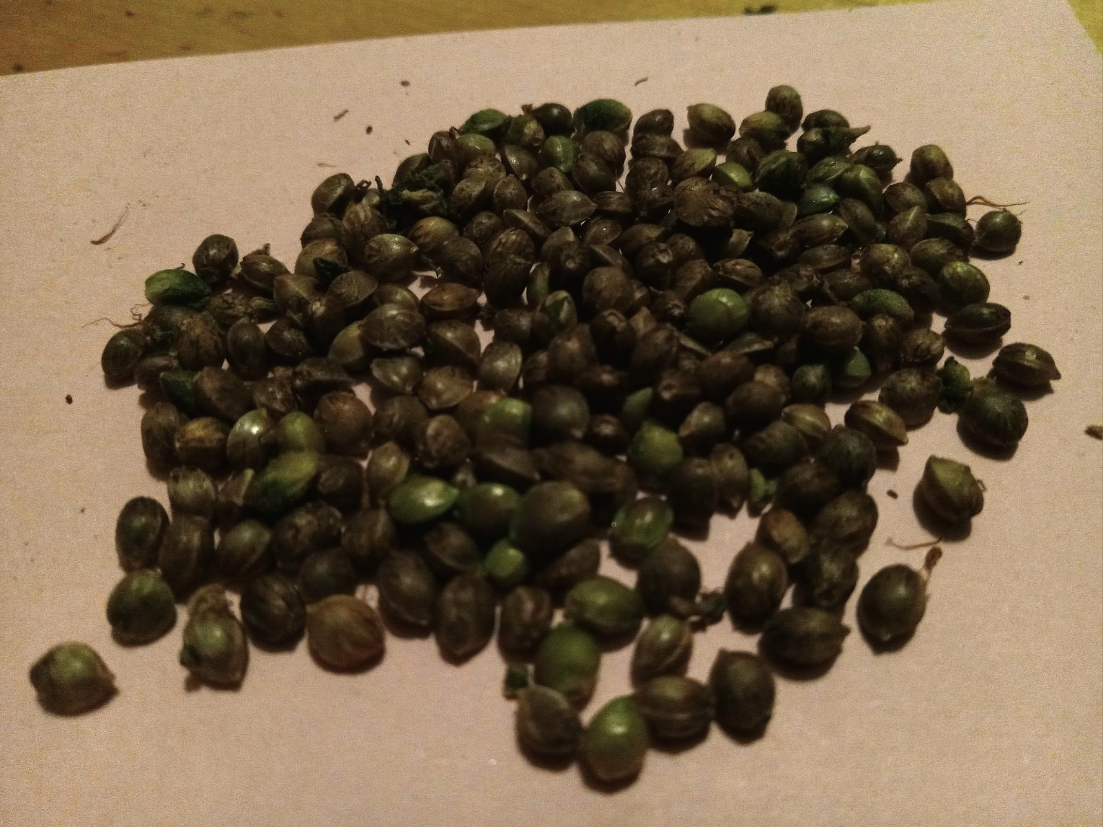 4oz STS/ Silver Thiosulfate Spray-Please Read Description