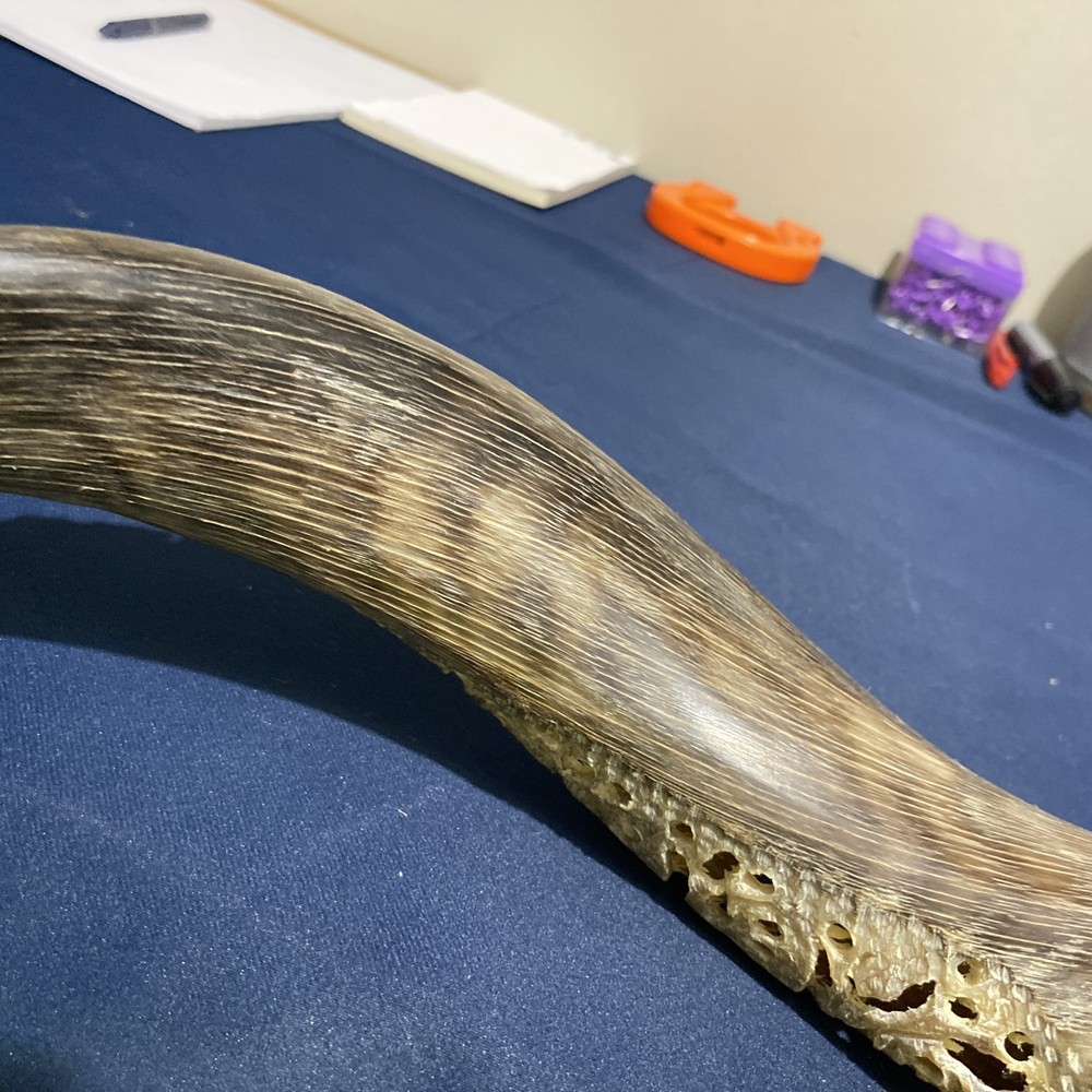 Hand Carved Horn