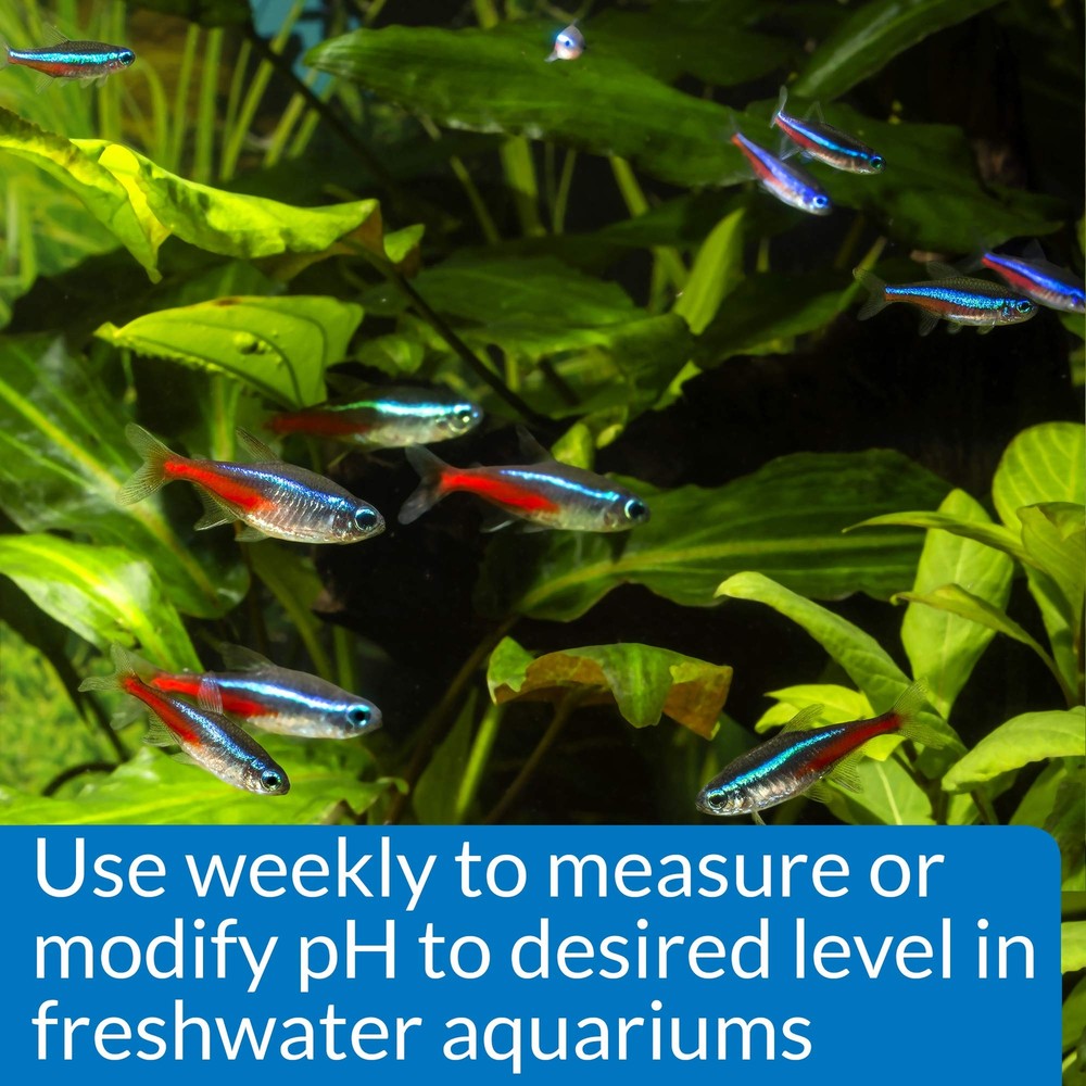 API Freshwater Aquarium pH Test Adjuster Kit 250 Tests Fish Care Solution