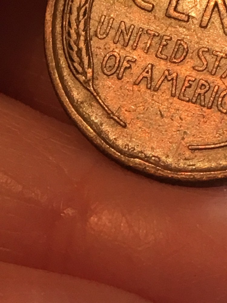 1909 VDB Lincoln Cent Fine DETAILS