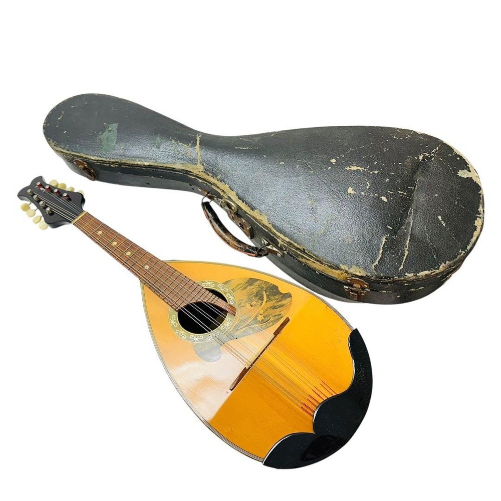 Suzuki Violin Suzuki Violin Mandolin