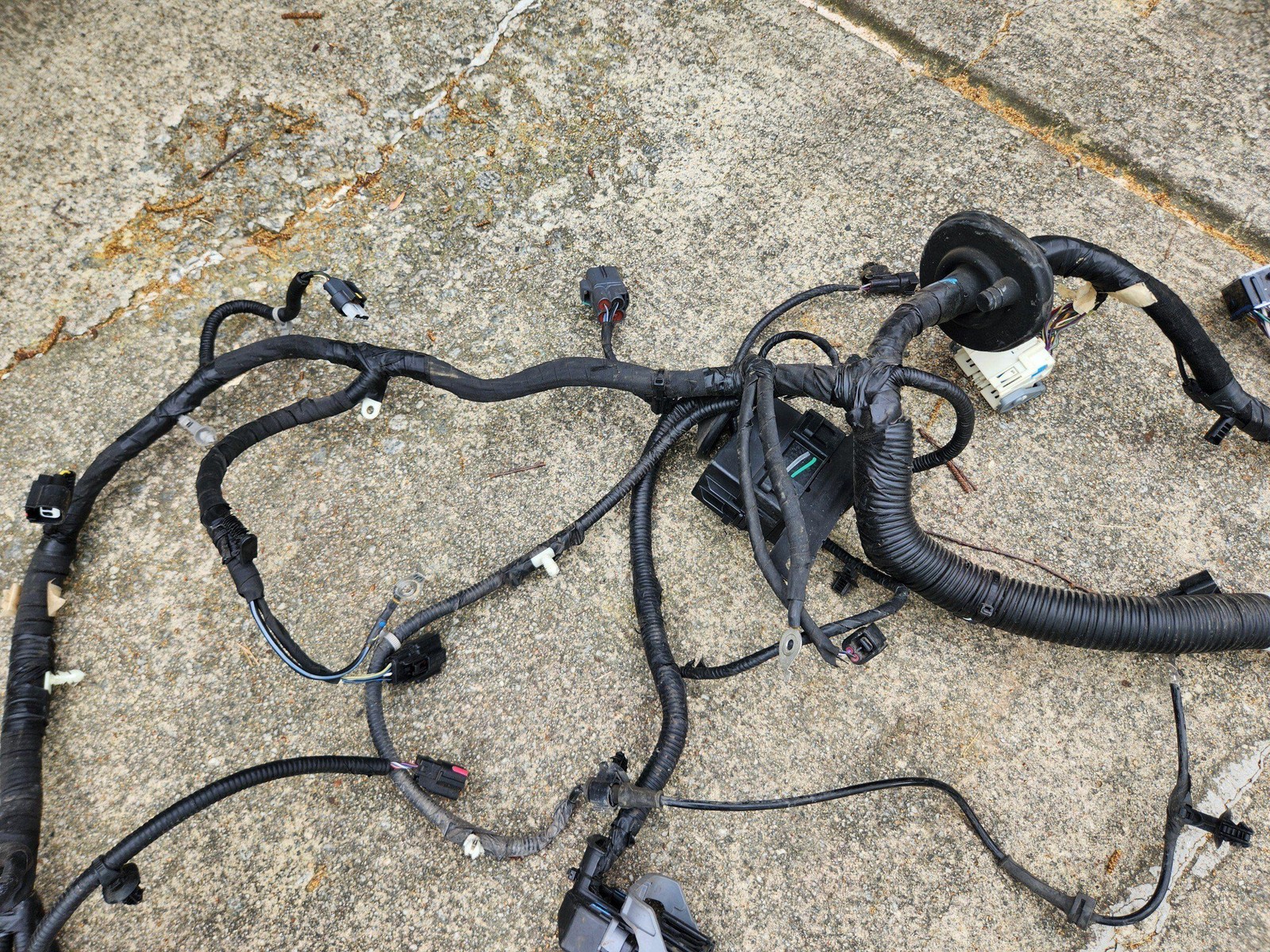 2021 - 2023 FORD MUSTANG MACH-E AWD ENGINE WIRING HARNESS OEM