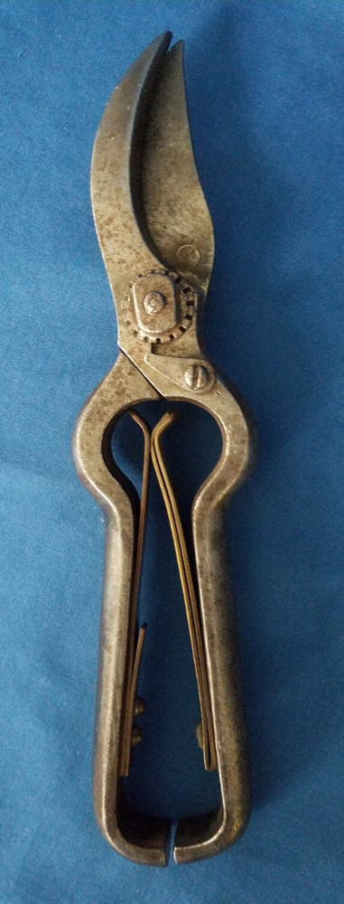 Antique Stiletto Pruning Shears
