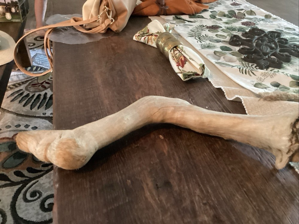 Mammoth Bone