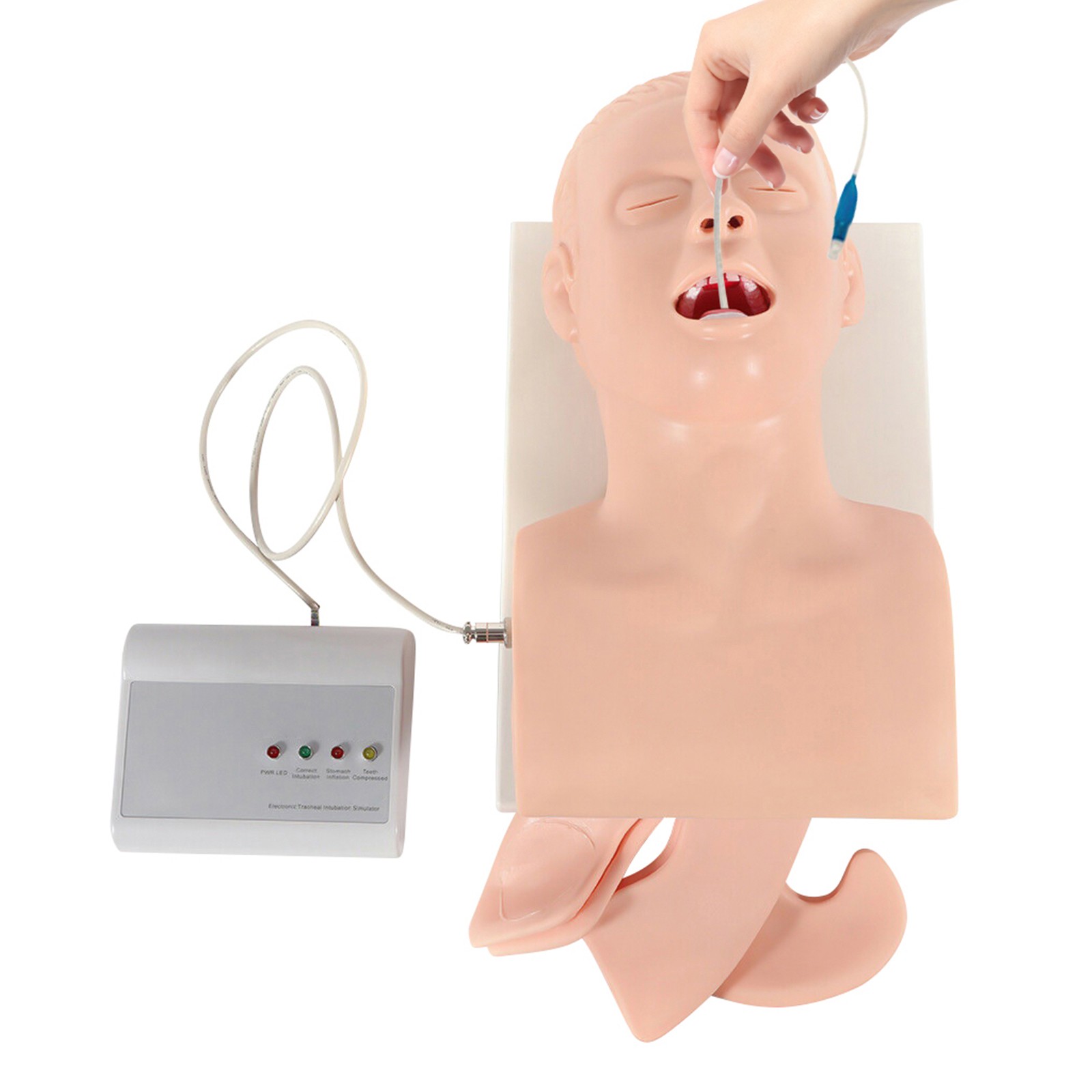 Intubation Manikin Study Teaching Model Adult Airway Management Trainer 110V