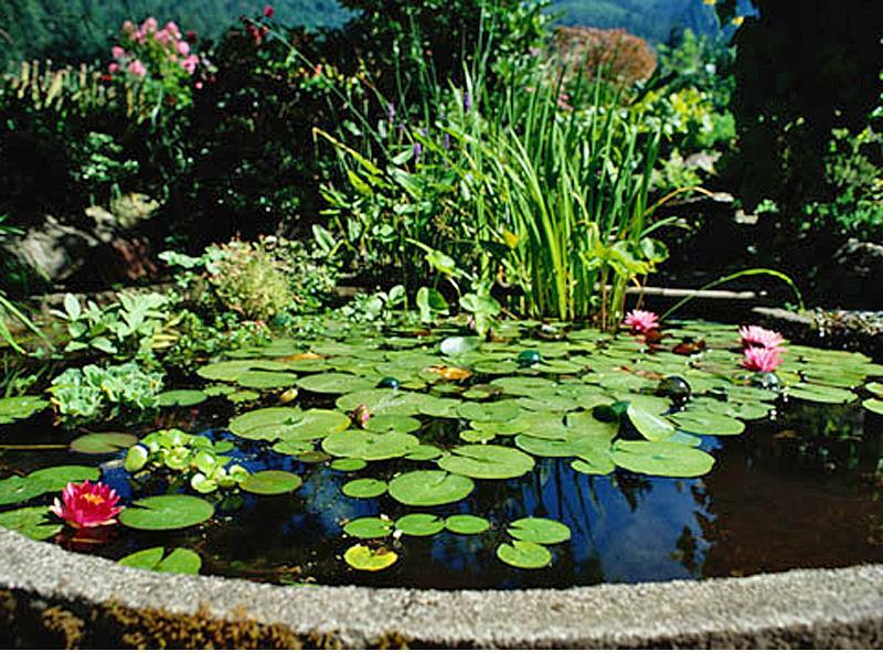 Rena OEM Black Vinyl Tubing 3/8" ID/20ft roll Aeration, Fountains, Lab Use