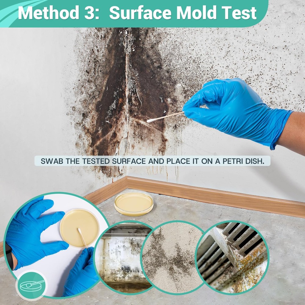 Mold Test Kit for Home Detection 4 Simple DIY Science Kits for Fastly Testing...