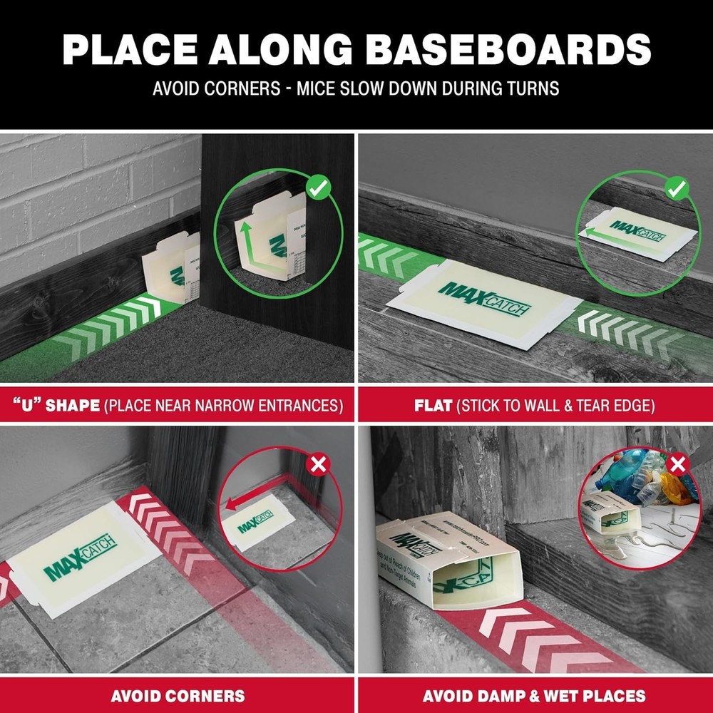 Max-Catch 72pk Mouse & Insect Glue Trap