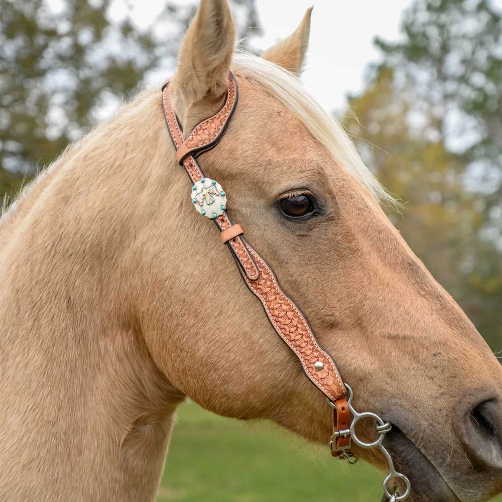 Circle Y Windsor One Ear Headstall, Full RD1F8