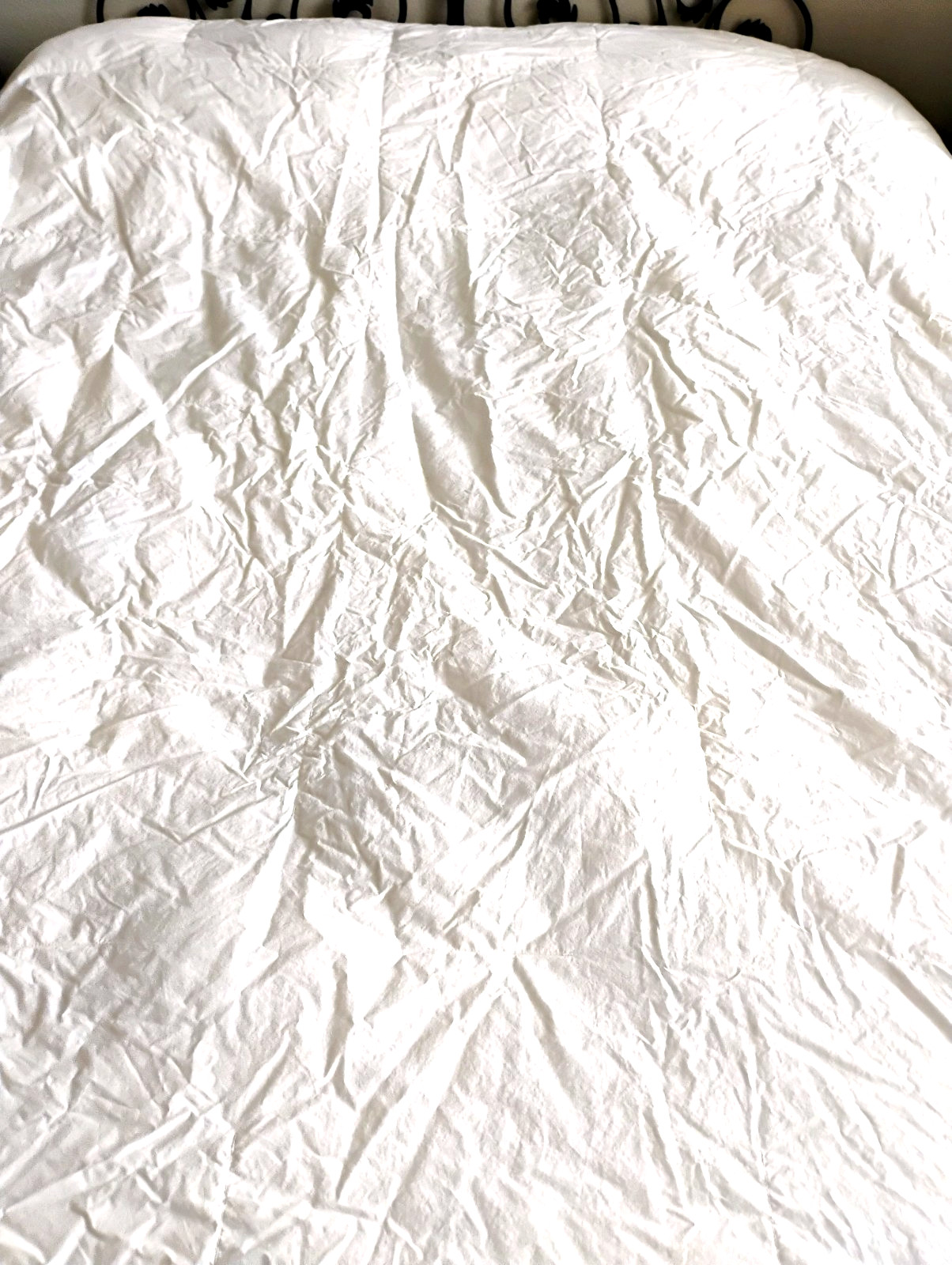 Down Duvet Insert Cotton White King size 108" x 92"
