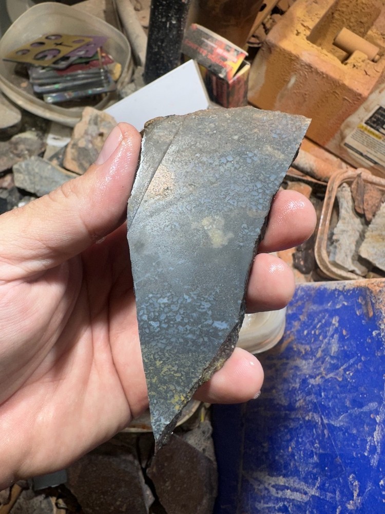 Dinosaur bone rough slab.