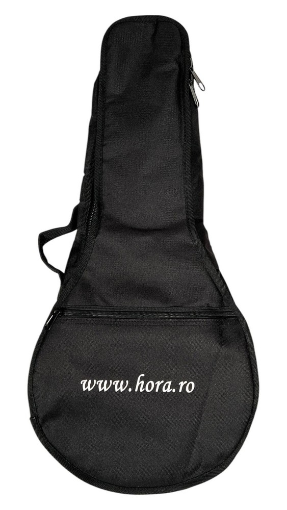Bag (GigBag) for mandolin