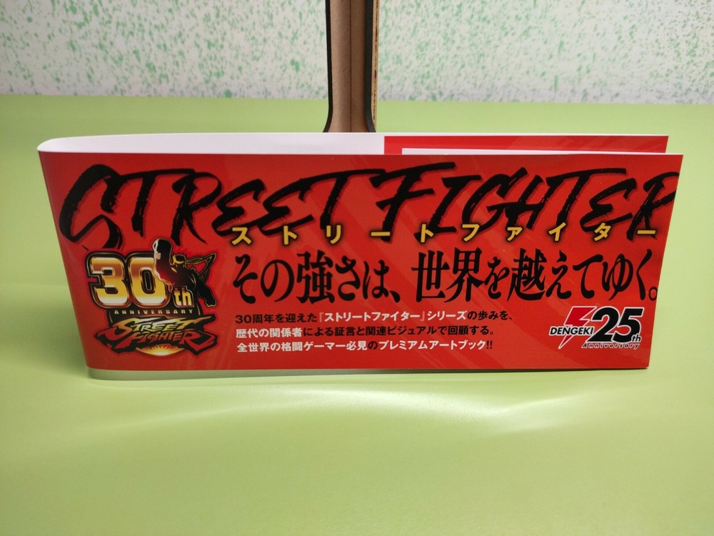 Street Fighter Beyond The World
