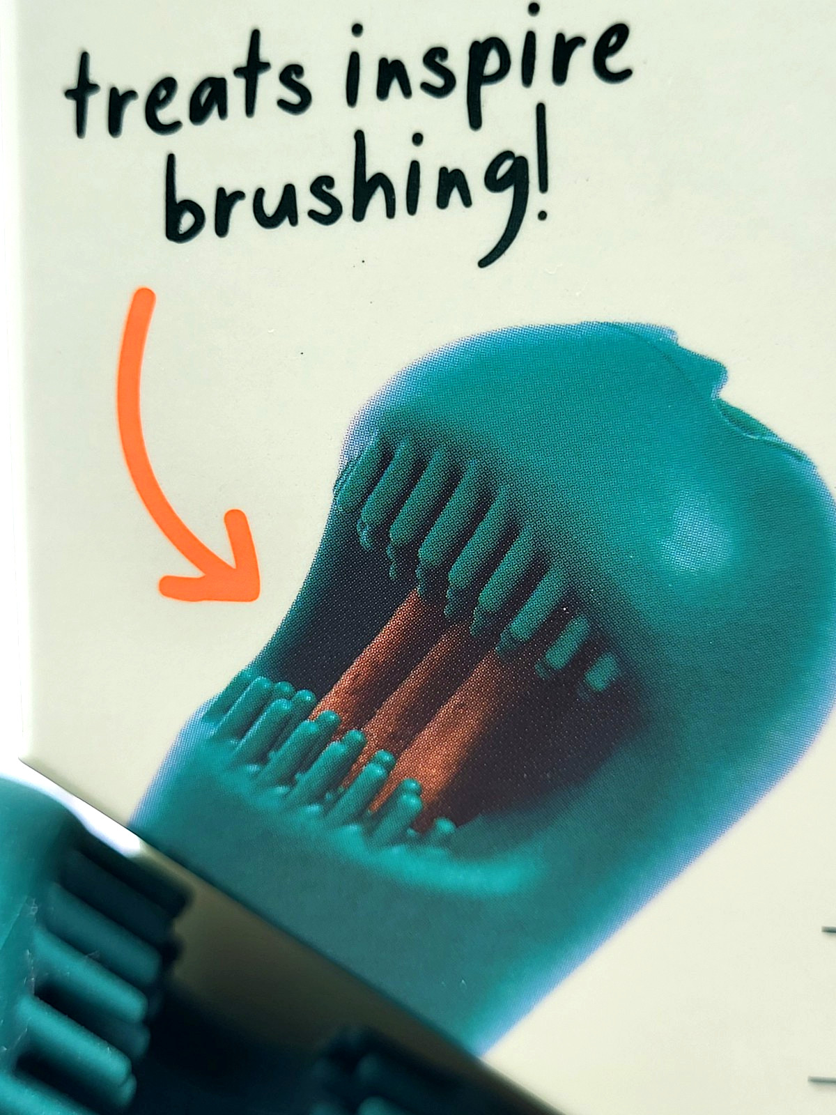 Woof Bite n' Brush Small Treat Holder Toothbrush Tough Non Toxic For Dogs 7"