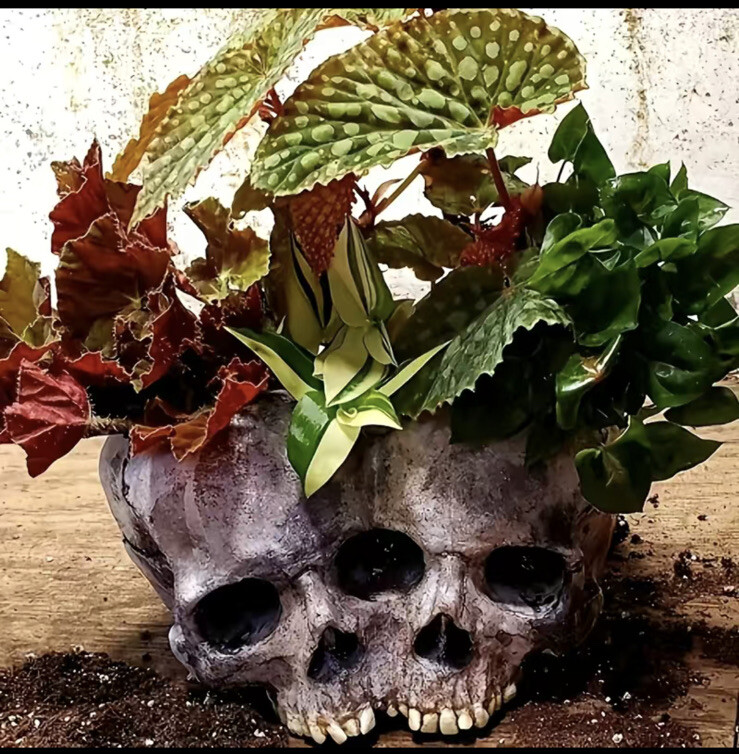 Skull Head Design Flower Planter Pot Container Home Decoration