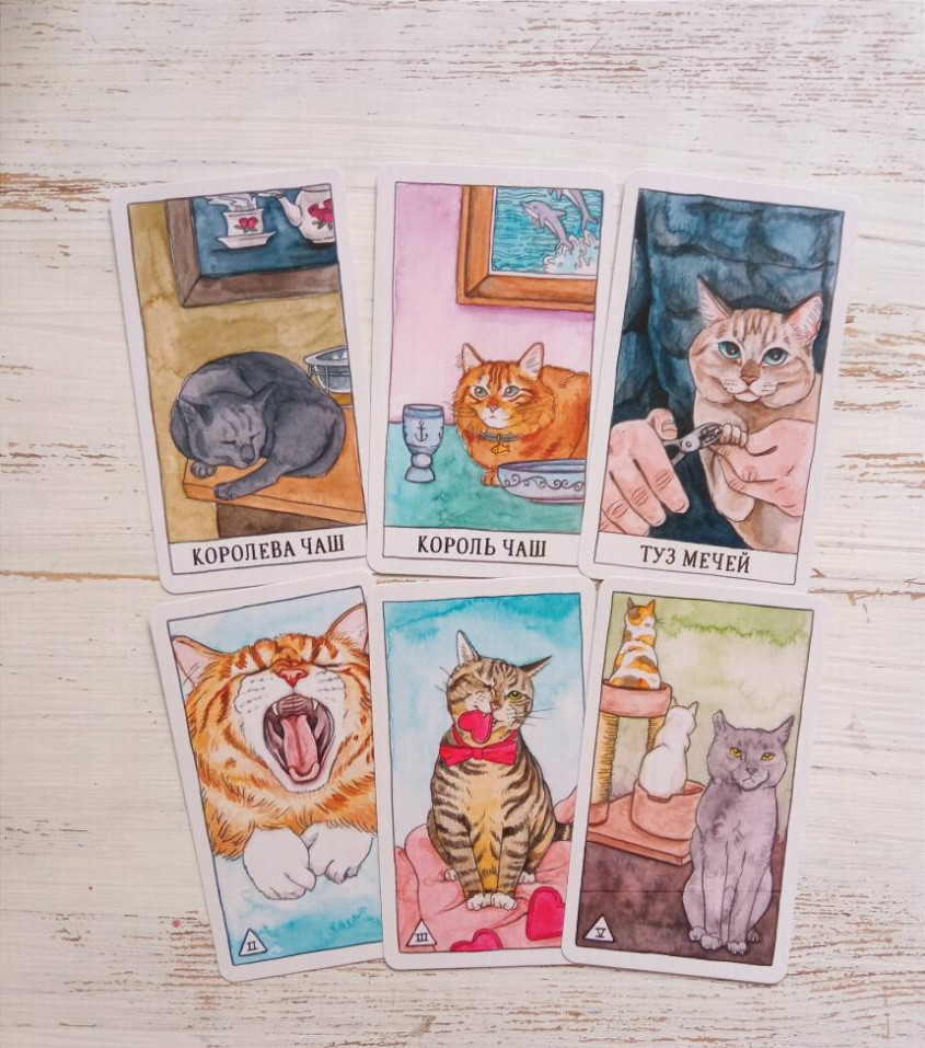 Котт Линн: Таро Котиков 78 карт Cat Tarot Cards Decks Russian Edition US
