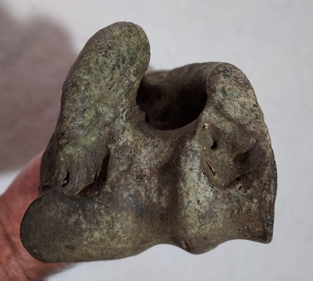 Bison Right Humerus Bone Fossil from Ice Age