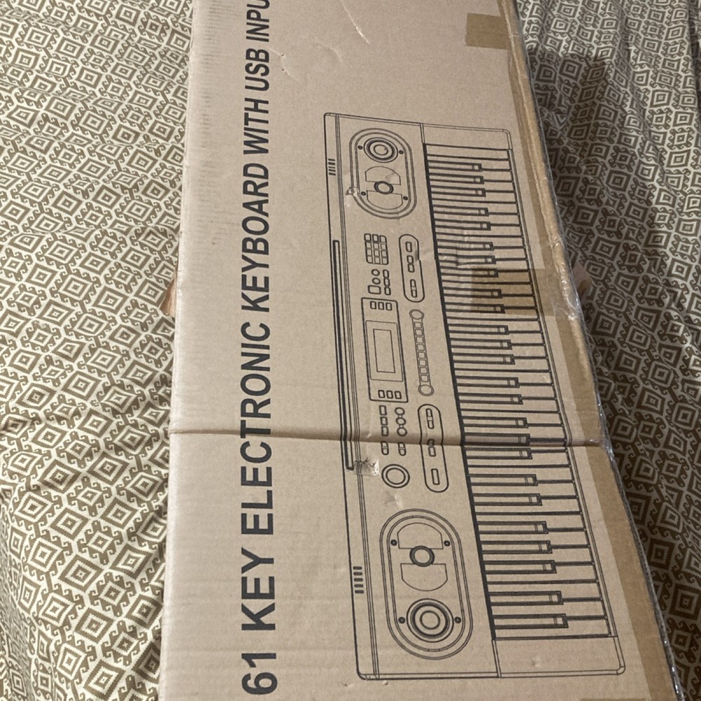 Plixio CE1985 61-Key Electronic Keyboard USB Input LED Screen MP3 200 Rhythms