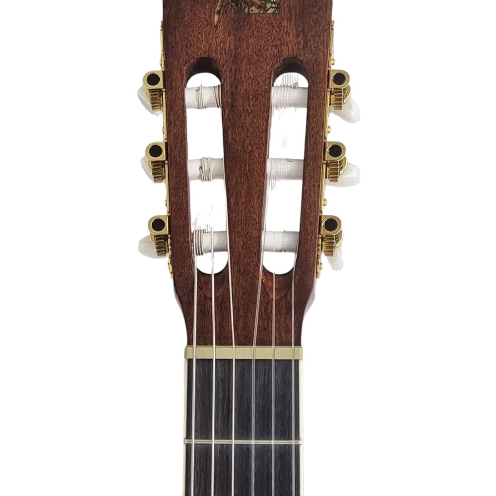 Haze Matte C551BCEQSM Solid Top Thin Body Arched Back Classical Guitar