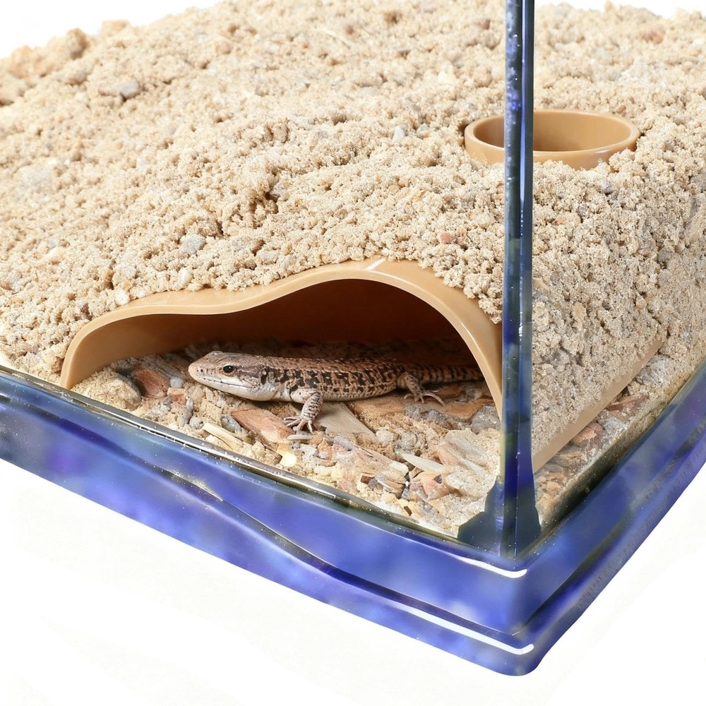 Reptile Underground Corner Cave Viewing Hide Lizard Hognose Leopard brown