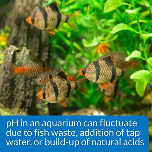 API Freshwater Aquarium pH Test Adjuster Kit 250 Tests Fish Care Solution