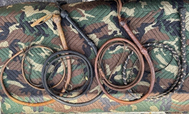 Leather wip Professional 4 pieces