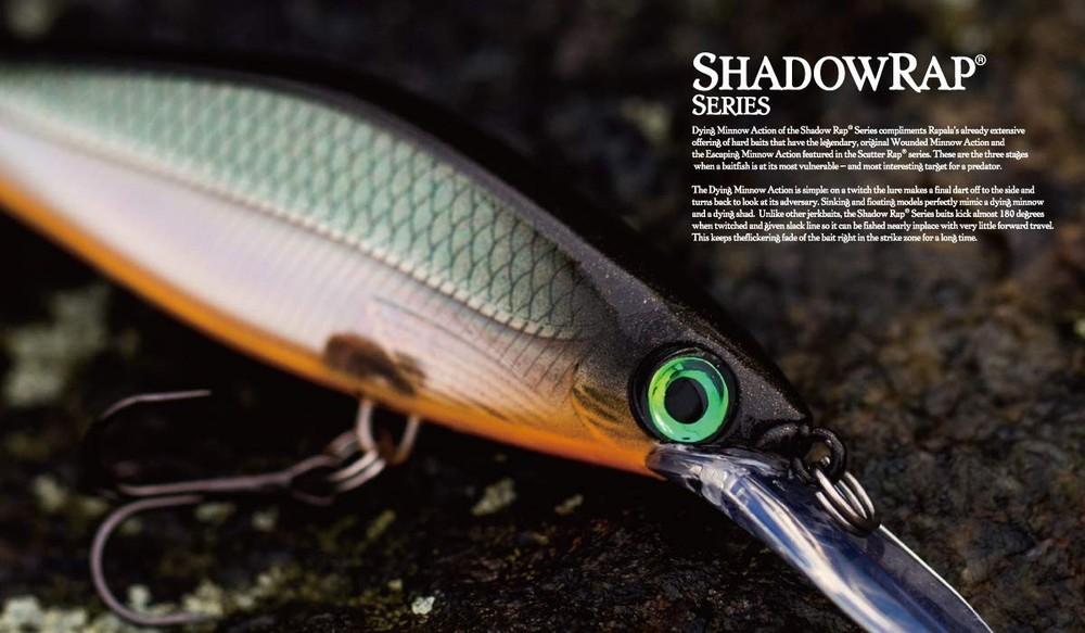 Rapala Shadow Rap Shad Deep 09 SDRSD09CLN: One Size, Multi