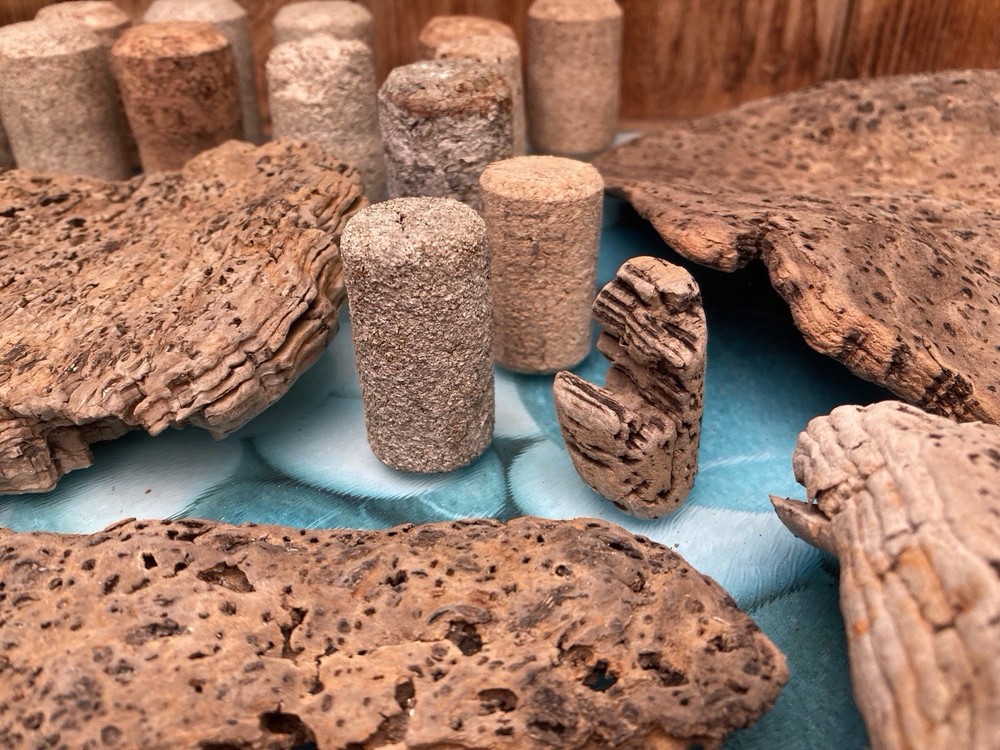 Tropical Driftwood and Cork pieces