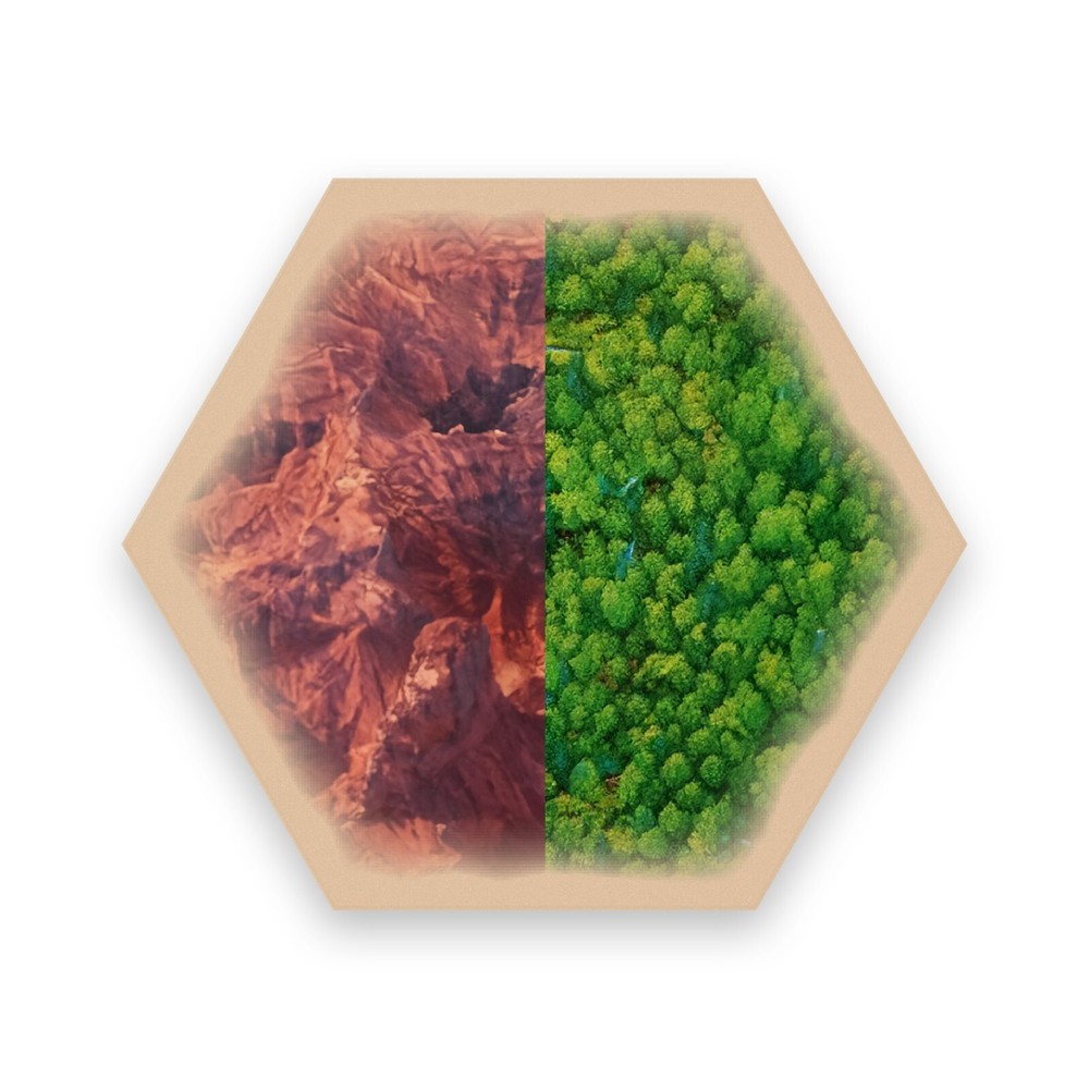Split-Resource Hexes replacement piece compatible with Catan's Settlers of Catan