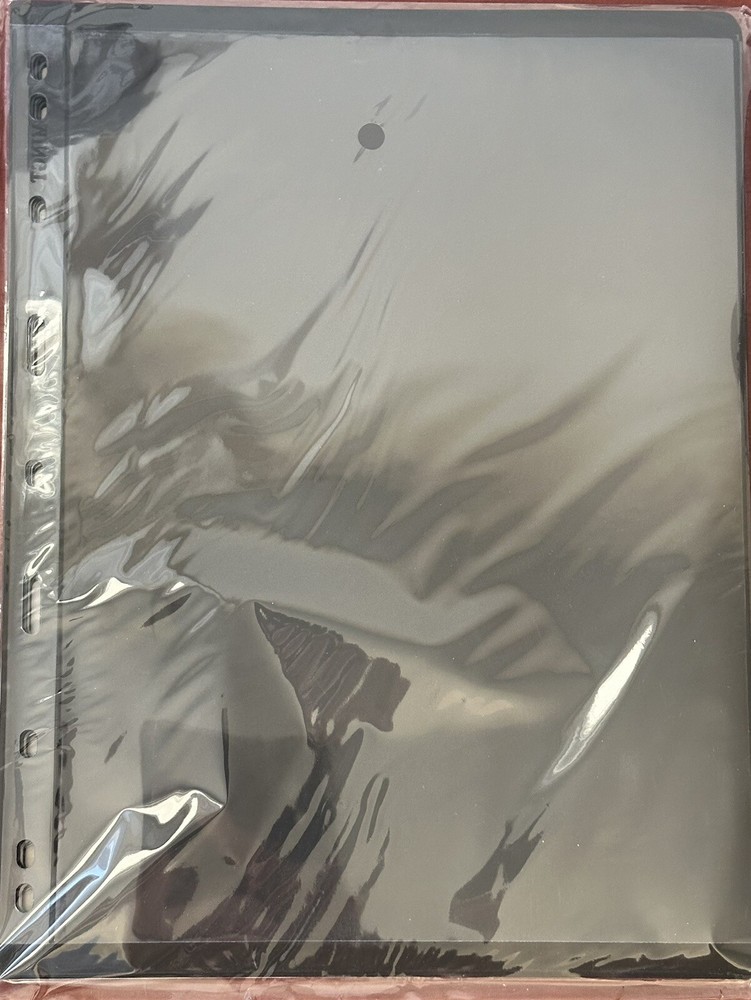 10 Sheets with 9 Binder Holes Double Sided Stamp Album Stock Pages(1 pockets)#1