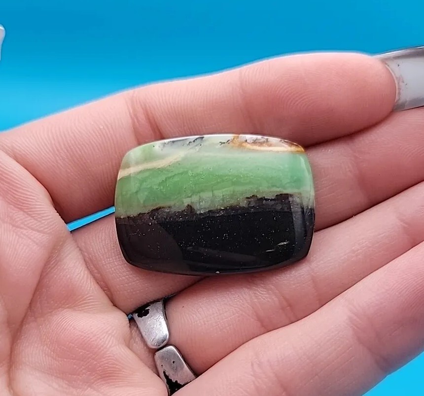 Indonesian Blue Opalized Petrified Wood Cabochon