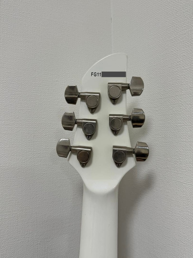 FERNANDES APG STD Safe Packing!