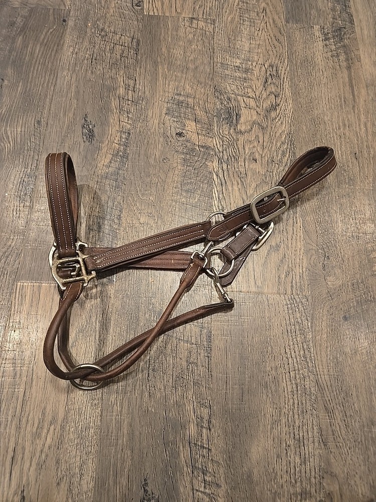 horse halter