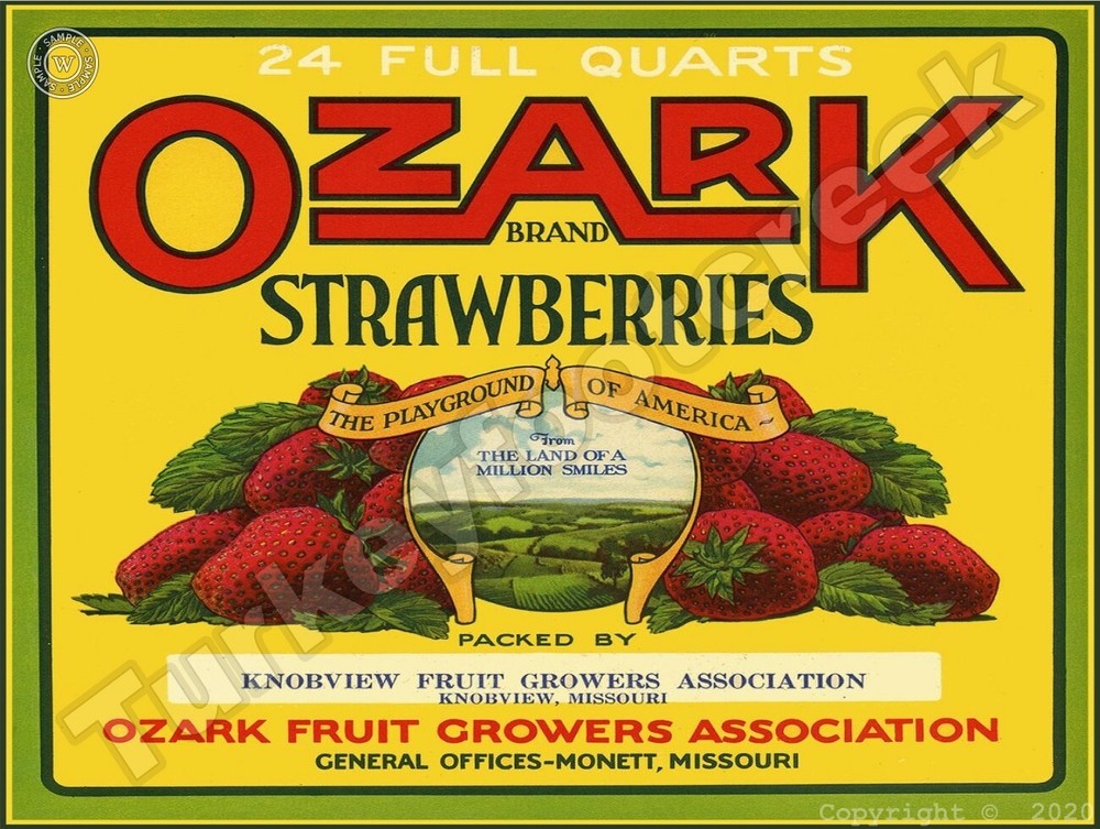 Ozark Brand Strawberries Label 9" x 12" Metal Sign
