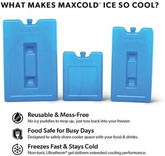 Igloo Medium Ice Block Duo - Compact, Leak-Proof Solution for Outdoor Fun