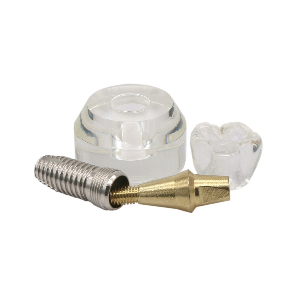 M2020 Dental Implant Model Demonstration Teeth Study Teach Model Removable