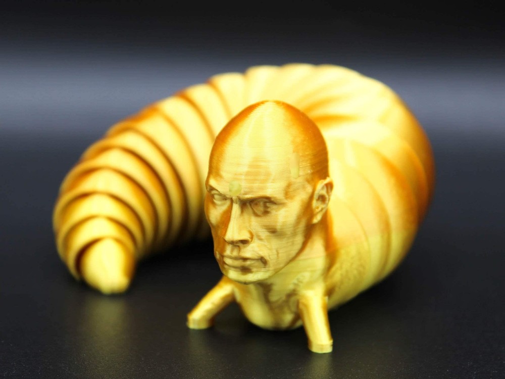 The Rock Fidget Slug