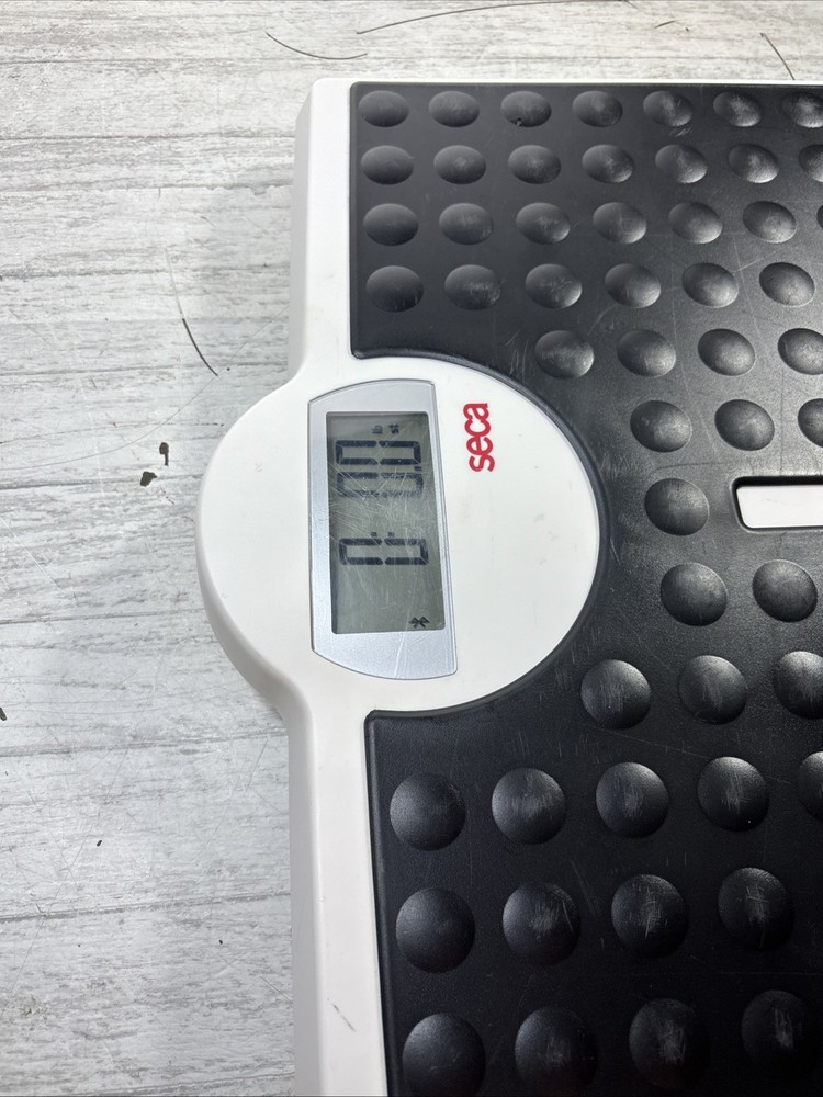 Seca 813 Robusta Digital Flat Scale 440 lb Capacity – Extra Wide Platform Works