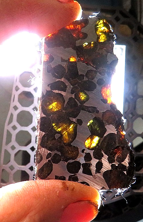 30 gm SERICHO pallasite Meteorite slice translucent from Kenya std olivine JAL