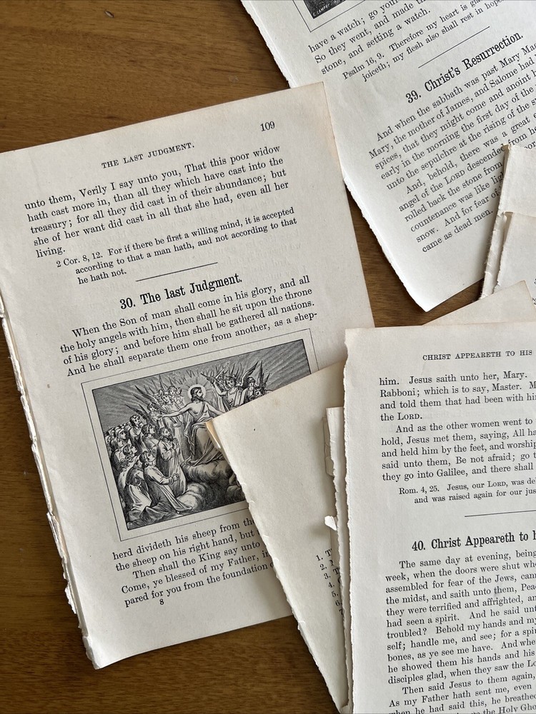 Antique Bible Story Book Pages