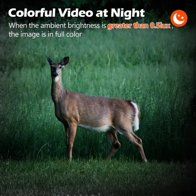 Cellular Trail Camera 3rd-Live View Remote Access Solar Power Game/Deer Camera