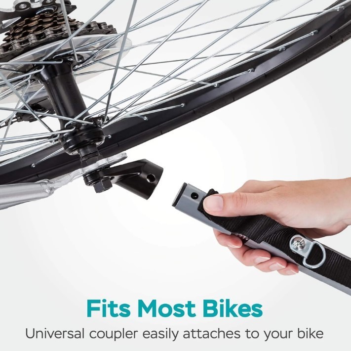 Instep Take 2 Bike Trailer for Kids Double Seat with Bug Screen Weather Shield